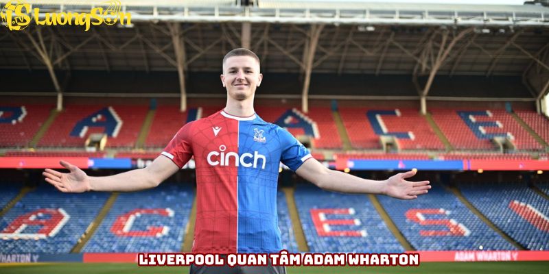 Liverpool sẵn sàng chi lớn để có Adam Wharton